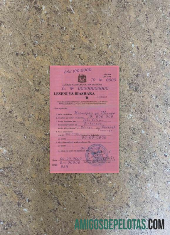 Tanzania Business License olhar de foto frente modelo